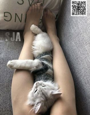 十八岁黄片免费观看大全_1080高清迅雷在线观看