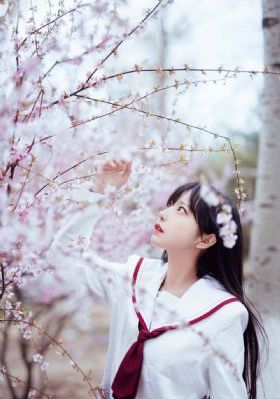 缅甸特级婬片A片AAA毛片A片_1080高清视频观看